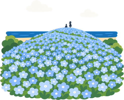 ひたち海浜公園のイラスト